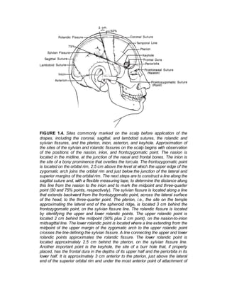 Sadgital Ridge Rhoton Cranial Anatomy and Surgical Approaches 2023.pdf