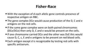 Fisher-Race
 With the exception of d each allelic gene controls presence of
respective antigen on RBC.
 The gene complex DCe would cause production of the D, C and e
antigens on the red cells.
 If the same gene complex were on both paired chromsomes
(DCe/DCe) then only D, C and e would be present on the cells.
 If one chromsome carried DCe and the other was DcE this would
cause D, C, c, E and e antigens to be present on red blood cells.
 Each antigen except d is recognizable by testing red cells with
specific antiserum.
 