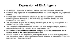 Expression of Rh Antigens
• Rh antigens - expressed as part of a protein complex in the RBC membrane.
• Complex only expressed in cells of the erythroid line so Rh antigens only expressed
in RBCs.
• Composition of the complex is unknown, but it is thought to be a tetramer,
consisting of two molecules of Rh-associated glycoprotein (RhAG) and two
molecules of Rh proteins.
• The Rh proteins may be RhD (carrying the D antigen) or RhCE (carrying the C or c
antigen and the E or e antigen).
• It is unknown whether both RhCE and RhD can be in a single complex, but in D-
negative individuals the complex would only contain RhCE.
• RhAG must be present to direct the Rh antigens to the RBC membrane. If it is
missing, none of the Rh antigens are expressed.
• RHAG is related to the Rh proteins, sharing about 35% of their primary sequence
and is the same type of transmembrane protein. However, it is not polymorphic and
does not carry Rh antigens itself
 