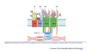 G. Daniels THE RH BLOOD-GROUP SYSTEM 603
 