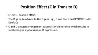 Position Effect (C in Trans to D)
• C trans - position effect;
• The D gene is in trans to the C gene, eg., C and D are on OPPOSITE sides:
Dce/dCe
• C and D antigen arrangement causes steric hindrance which results in
weakening or suppression of D expression.
 