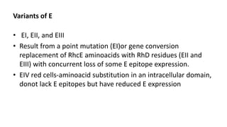 Variants of E
• EI, EII, and EIII
• Result from a point mutation (EI)or gene conversion
replacement of RhcE aminoacids with RhD residues (EII and
EIII) with concurrent loss of some E epitope expression.
• EIV red cells-aminoacid substitution in an intracellular domain,
donot lack E epitopes but have reduced E expression
 