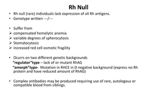 Rh Null
• Rh null (rare) individuals lack expression of all Rh antigens.
• Genotype written ---/---
• Suffer from
 compensated hemolytic anemia
 variable degrees of spherocytosis
 Stomatocytosis
 increased red cell osmotic fragility
• Ocurrs on two different genetic backgrounds
“regulator”type – lack of or mutant RhAG
“amorph”type- Mutation in RHCE in D negative background (express no Rh
protein and have reduced amount of RhAG)
• Complex antibodies may be produced requiring use of rare, autologous or
compatible blood from siblings.
 