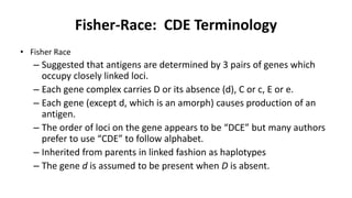 Fisher-Race: CDE Terminology
• Fisher Race
– Suggested that antigens are determined by 3 pairs of genes which
occupy closely linked loci.
– Each gene complex carries D or its absence (d), C or c, E or e.
– Each gene (except d, which is an amorph) causes production of an
antigen.
– The order of loci on the gene appears to be “DCE” but many authors
prefer to use “CDE” to follow alphabet.
– Inherited from parents in linked fashion as haplotypes
– The gene d is assumed to be present when D is absent.
 