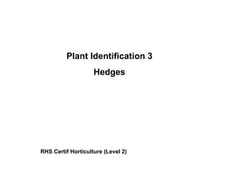 RHS Certif Horticulture (Level 2) Plant Identification 3 Hedges 