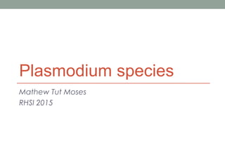Plasmodium species
Mathew Tut Moses
RHSI 2015
 