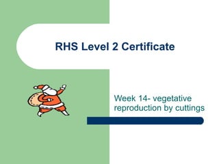RHS Level 2 Certificate Week 14- vegetative reproduction by cuttings 