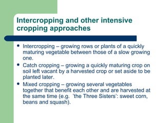 Intercropping and other intensive
cropping approaches
 Intercropping – growing rows or plants of a quickly
maturing vegetable between those of a slow growing
one.
 Catch cropping – growing a quickly maturing crop on
soil left vacant by a harvested crop or set aside to be
planted later.
 Mixed cropping – growing several vegetables
together that benefit each other and are harvested at
the same time (e.g. ’the Three Sisters’: sweet corn,
beans and squash).
 