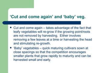 ‘Cut and come again’ and ‘baby’ veg.
 Cut and come again – takes advantage of the fact that
leafy vegetables will re-grow if the growing point/roots
are not removed by harvesting. Either involves
removing a few leaves at a time or harvesting the head
and stimulating re-growth.
 ‘Baby’ vegetables – quick maturing cultivars sown at
close spacings so that the competition encourages
smaller plants that grow rapidly to maturity and can be
harvested small and early.
 