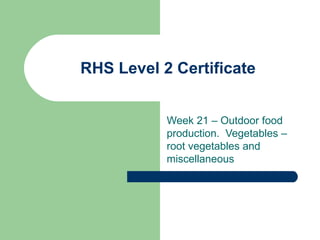 RHS Level 2 Certificate Week 21 – Outdoor food production.  Vegetables – root vegetables and miscellaneous  