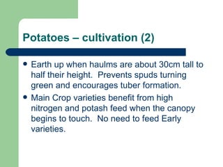 Potatoes – cultivation (2) Earth up when haulms are about 30cm tall to half their height.  Prevents spuds turning green and encourages tuber formation. Main Crop varieties benefit from high nitrogen and potash feed when the canopy begins to touch.  No need to feed Early varieties. 