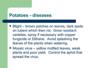 Potatoes - diseases Blight – brown patches on leaves, dark spots on tubers which then rot.  Grow resistant varieties, spray if necessary with copper fungicide or Dithane.  Avoid splashing the leaves of the plants when watering. Mosaic virus – yellow mottled leaves, weak plants and poor yield.  Control the aphid that spread the virus. 