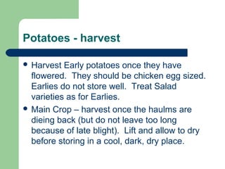 Potatoes - harvest
 Harvest Early potatoes once they have
flowered. They should be chicken egg sized.
Earlies do not store well. Treat Salad
varieties as for Earlies.
 Main Crop – harvest once the haulms are
dieing back (but do not leave too long
because of late blight). Lift and allow to dry
before storing in a cool, dark, dry place.
 