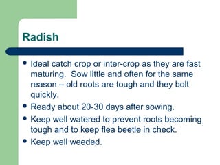 Radish
 Ideal catch crop or inter-crop as they are fast
maturing. Sow little and often for the same
reason – old roots are tough and they bolt
quickly.
 Ready about 20-30 days after sowing.
 Keep well watered to prevent roots becoming
tough and to keep flea beetle in check.
 Keep well weeded.
 