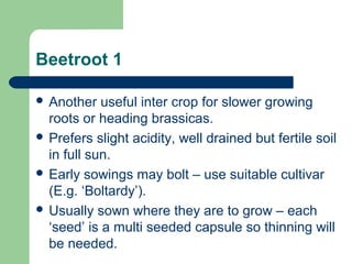 Beetroot 1
 Another useful inter crop for slower growing
roots or heading brassicas.
 Prefers slight acidity, well drained but fertile soil
in full sun.
 Early sowings may bolt – use suitable cultivar
(E.g. ‘Boltardy’).
 Usually sown where they are to grow – each
‘seed’ is a multi seeded capsule so thinning will
be needed.
 