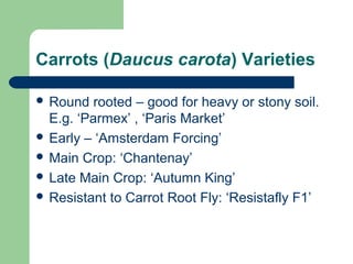 Carrots (Daucus carota) Varieties
 Round rooted – good for heavy or stony soil.
E.g. ‘Parmex’ , ‘Paris Market’
 Early – ‘Amsterdam Forcing’
 Main Crop: ‘Chantenay’
 Late Main Crop: ‘Autumn King’
 Resistant to Carrot Root Fly: ‘Resistafly F1’
 