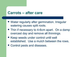 Carrots – after care
 Water regularly after germination. Irregular
watering causes split roots.
 Thin if necessary to 4-6cm apart. On a damp
overcast day and remove all thinnings.
 Keep weeds under control until well
established. Use a mulch between the rows.
 Control pests and diseases.
 