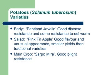 Potatoes (Solanum tuberosum)
Varieties
 Early: ‘Pentland Javelin’ Good disease
resistance and some resistance to eel worm
 Salad: ‘Pink Fir Apple’ Good flavour and
unusual appearance, smaller yields than
traditional varieties
 Main Crop: ‘Sarpo Mira’. Good blight
resistance.
 
