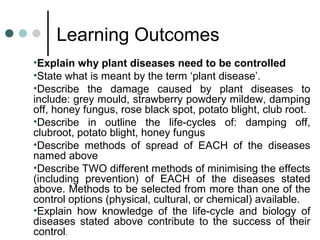 Learning Outcomes
•Explain why plant diseases need to be controlled
•State what is meant by the term ‘plant disease’.
•Describe the damage caused by plant diseases to
include: grey mould, strawberry powdery mildew, damping
off, honey fungus, rose black spot, potato blight, club root.
•Describe in outline the life-cycles of: damping off,
clubroot, potato blight, honey fungus
•Describe methods of spread of EACH of the diseases
named above
•Describe TWO different methods of minimising the effects
(including prevention) of EACH of the diseases stated
above. Methods to be selected from more than one of the
control options (physical, cultural, or chemical) available.
•Explain how knowledge of the life-cycle and biology of
diseases stated above contribute to the success of their
control.
 