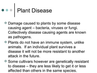 Plant Disease
 Damage caused to plants by some disease
causing agent – bacteria, viruses or fungi.
Collectively disease causing agents are known
as pathogens.
 Plants do not have an immune system, unlike
animals. If an individual plant survives a
disease it will not be more resistant to another
attack in the future.
 Some cultivars however are genetically resistant
to disease – they are less likely to get it or less
affected than others in the same species.
 