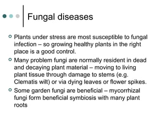 Fungal diseases
 Plants under stress are most susceptible to fungal
infection – so growing healthy plants in the right
place is a good control.
 Many problem fungi are normally resident in dead
and decaying plant material – moving to living
plant tissue through damage to stems (e.g.
Clematis wilt) or via dying leaves or flower spikes.
 Some garden fungi are beneficial – mycorrhizal
fungi form beneficial symbiosis with many plant
roots
 