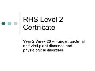 RHS Level 2 Certificate Year 2 Week 20 – Fungal, bacterial and viral plant diseases and physiological disorders. 