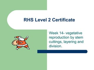 RHS Level 2 Certificate
Week 14- vegetative
reproduction by stem
cuttings, layering and
division.

 