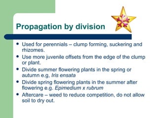 Propagation by division






Used for perennials – clump forming, suckering and
rhizomes.
Use more juvenile offsets from the edge of the clump
or plant.
Divide summer flowering plants in the spring or
autumn e.g, Iris ensata
Divide spring flowering plants in the summer after
flowering e.g. Epimedium x rubrum
Aftercare – weed to reduce competition, do not allow
soil to dry out.

 