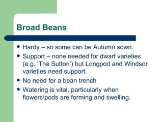 Broad Beans Hardy – so some can be Autumn sown. Support – none needed for dwarf varieties (e.g. ‘The Sutton’) but Longpod and Windsor varieties need support. No need for a bean trench Watering is vital, particularly when flowers\pods are forming and swelling. 