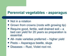 Perennial vegetables - asparagus Not in a rotation  Grown from crowns (roots with growing tip) Require good, fertile, well drained soil – a bed can yield for 20 years so preparation is essential. All- male varieties preferred – higher yield Pests – Asparagus beetle, slugs Diseases – Rust, Violet root rot. 