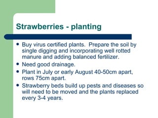 Strawberries - planting

   Buy virus certified plants. Prepare the soil by
    single digging and incorporating well rotted
    manure and adding balanced fertilizer.
   Need good drainage.
   Plant in July or early August 40-50cm apart,
    rows 75cm apart.
   Strawberry beds build up pests and diseases so
    will need to be moved and the plants replaced
    every 3-4 years.
 