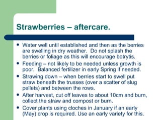 Strawberries – aftercare.

   Water well until established and then as the berries
    are swelling in dry weather. Do not splash the
    berries or foliage as this will encourage botrytis.
   Feeding – not likely to be needed unless growth is
    poor. Balanced fertilizer in early Spring if needed.
   Strawing down – when berries start to swell put
    straw beneath the trusses (over a scatter of slug
    pellets) and between the rows.
   After harvest, cut off leaves to about 10cm and burn,
    collect the straw and compost or burn.
   Cover plants using cloches in January if an early
    (May) crop is required. Use an early variety for this.
 