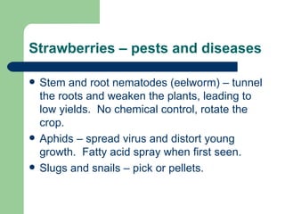 Strawberries – pests and diseases

   Stem and root nematodes (eelworm) – tunnel
    the roots and weaken the plants, leading to
    low yields. No chemical control, rotate the
    crop.
   Aphids – spread virus and distort young
    growth. Fatty acid spray when first seen.
   Slugs and snails – pick or pellets.
 
