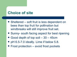Choice of site

   Sheltered – soft fruit is less dependent on
    bees than top fruit for pollination but
    windbreaks will still improve fruit set.
   Sunny- south facing aspect for best ripening
   Good depth of top soil – 30 – 45cm
   pH 6.5-7.0 ideally. Lime if below 5.8.
   Frost protection – avoid frost pockets
 