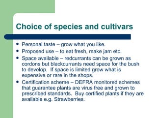 Choice of species and cultivars

   Personal taste – grow what you like.
   Proposed use – to eat fresh, make jam etc.
   Space available – redcurrants can be grown as
    cordons but blackcurrants need space for the bush
    to develop. If space is limited grow what is
    expensive or rare in the shops.
   Certification scheme – DEFRA monitored schemes
    that guarantee plants are virus free and grown to
    prescribed standards. Buy certified plants if they are
    available e.g. Strawberries.
 