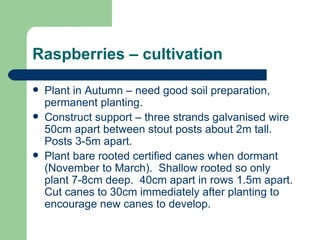 Raspberries – cultivation

   Plant in Autumn – need good soil preparation,
    permanent planting.
   Construct support – three strands galvanised wire
    50cm apart between stout posts about 2m tall.
    Posts 3-5m apart.
   Plant bare rooted certified canes when dormant
    (November to March). Shallow rooted so only
    plant 7-8cm deep. 40cm apart in rows 1.5m apart.
    Cut canes to 30cm immediately after planting to
    encourage new canes to develop.
 