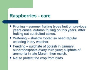 Raspberries - care

   Pruning – summer fruiting types fruit on previous
    years canes; autumn fruiting on this years. After
    fruiting cut out fruited canes.
   Watering – shallow rooted so need regular
    watering in dry weather.
   Feeding – sulphate of potash in January;
    superphosphate every third year; sulphate of
    ammonia in late March, then mulch.
   Net to protect the crop from birds.
 