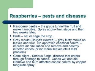 Raspberries – pests and diseases
   Raspberry beetle – the grubs tunnel the fruit and
    make it inedible. Spray at pink fruit stage and then
    two weeks later.
   Birds – net or cage the crop.
   Grey mould (Botrytis cinerea) – grey fluffy mould on
    leaves and fruit. No approved chemical control –
    improve air circulation and remove and destroy
    infected canes (or individual leaves etc if mild
    problem)
   Cane blight - Serious fungal disease that enters
    through damage to canes. Canes wilt and die.
    Remove and burn affected canes; control by copper
    fungicide spray.
 