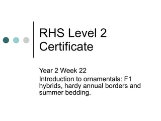 RHS Level 2 Certificate Year 2 Week 22 Introduction to ornamentals: F1 hybrids, hardy annual borders and summer bedding. 