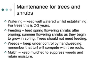 Maintenance for trees and shrubs Watering – keep well watered whilst establishing.  For trees this is 2-3 years. Feeding – feed spring flowering shrubs after pruning; summer flowering shrubs as they begin to grow in spring. Trees should not need feeding. Weeds – keep under control by handweeding; remember that turf will compete with tree roots. Mulch – keep mulched to suppress weeds and retain moisture .  