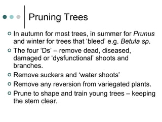 Pruning Trees In autumn for most trees, in summer for  Prunus  and winter for trees that ‘bleed’ e.g.  Betula sp . The four ‘Ds’ – remove dead, diseased, damaged or ‘dysfunctional’ shoots and branches. Remove suckers and ‘water shoots’ Remove any reversion from variegated plants. Prune to shape and train young trees – keeping the stem clear. 