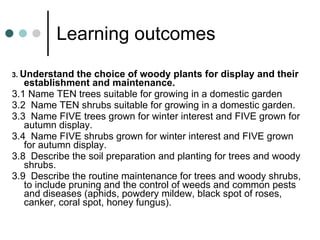 Learning outcomes 3.  Understand the choice of woody plants for display and their establishment and maintenance. 3.1 Name TEN trees suitable for growing in a domestic garden 3.2  Name TEN shrubs suitable for growing in a domestic garden. 3.3  Name FIVE trees grown for winter interest and FIVE grown for autumn display. 3.4  Name FIVE shrubs grown for winter interest and FIVE grown for autumn display.  3.8  Describe the soil preparation and planting for trees and woody shrubs. 3.9  Describe the routine maintenance for trees and woody shrubs, to include pruning and the control of weeds and common pests and diseases (aphids, powdery mildew, black spot of roses, canker, coral spot, honey fungus). 