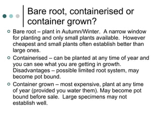 Bare root, containerised or container grown? Bare root – plant in Autumn/Winter.  A narrow window for planting and only small plants available.  However cheapest and small plants often establish better than large ones. Containerised – can be planted at any time of year and you can see what you are getting in growth.  Disadvantages – possible limited root system, may become pot bound. Container grown – most expensive, plant at any time of year (provided you water them). May become pot bound before sale.  Large specimens may not establish well. 