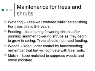 Maintenance for trees and
shrubs
 Watering – keep well watered whilst establishing.
For trees this is 2-3 years.
 Feeding – feed spring flowering shrubs after
pruning; summer flowering shrubs as they begin
to grow in spring. Trees should not need feeding.
 Weeds – keep under control by handweeding;
remember that turf will compete with tree roots.
 Mulch – keep mulched to suppress weeds and
retain moisture.
 