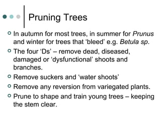 Pruning Trees
 In autumn for most trees, in summer for Prunus
and winter for trees that ‘bleed’ e.g. Betula sp.
 The four ‘Ds’ – remove dead, diseased,
damaged or ‘dysfunctional’ shoots and
branches.
 Remove suckers and ‘water shoots’
 Remove any reversion from variegated plants.
 Prune to shape and train young trees – keeping
the stem clear.
 