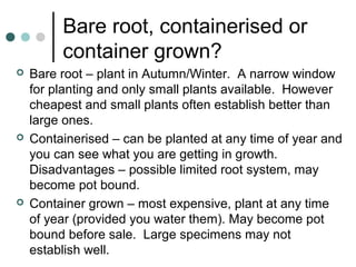 Bare root, containerised or
container grown?
 Bare root – plant in Autumn/Winter. A narrow window
for planting and only small plants available. However
cheapest and small plants often establish better than
large ones.
 Containerised – can be planted at any time of year and
you can see what you are getting in growth.
Disadvantages – possible limited root system, may
become pot bound.
 Container grown – most expensive, plant at any time
of year (provided you water them). May become pot
bound before sale. Large specimens may not
establish well.
 