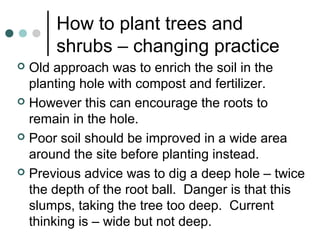 How to plant trees and
shrubs – changing practice
 Old approach was to enrich the soil in the
planting hole with compost and fertilizer.
 However this can encourage the roots to
remain in the hole.
 Poor soil should be improved in a wide area
around the site before planting instead.
 Previous advice was to dig a deep hole – twice
the depth of the root ball. Danger is that this
slumps, taking the tree too deep. Current
thinking is – wide but not deep.
 