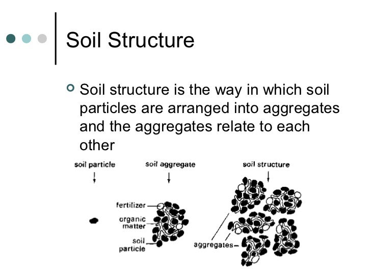 Rhs year 2 week 2 presentation 2012
