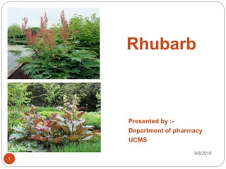 000
Rhubarb
Presented by :-
Department of pharmacy
UCMS
9/8/2019
1
 