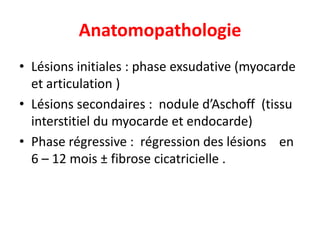 Anatomopathologie
• Lésions initiales : phase exsudative (myocarde
  et articulation )
• Lésions secondaires : nodule d’Aschoff (tissu
  interstitiel du myocarde et endocarde)
• Phase régressive : régression des lésions en
  6 – 12 mois ± fibrose cicatricielle .
 